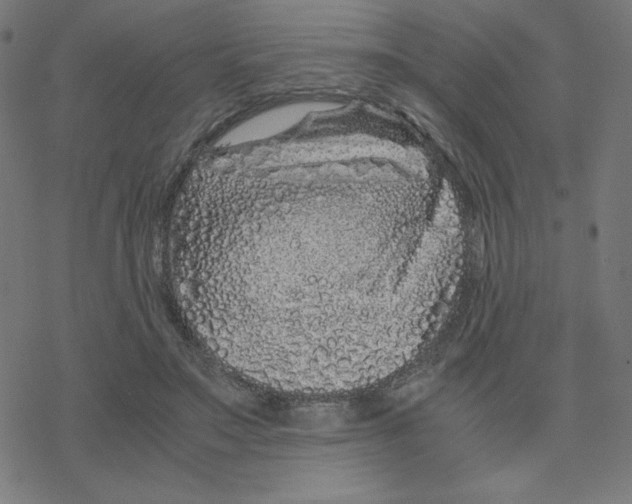 X0000078240499200612011608