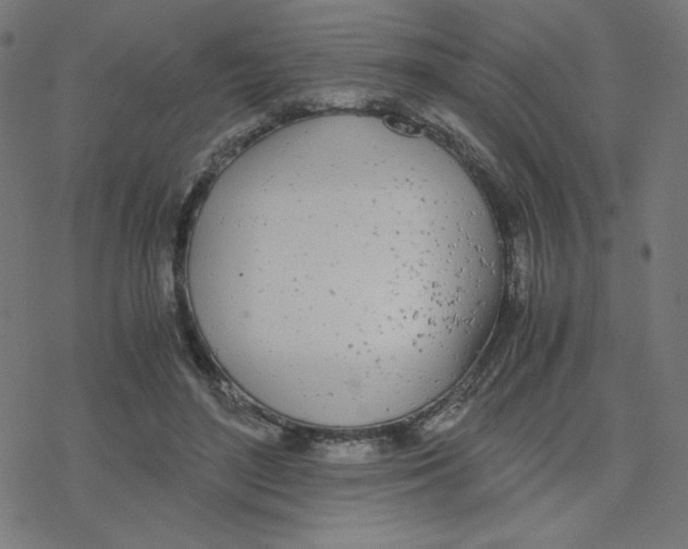 X0000078240500200612011608