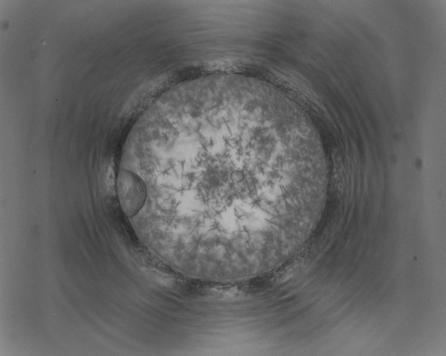 X0000078240502200612011608