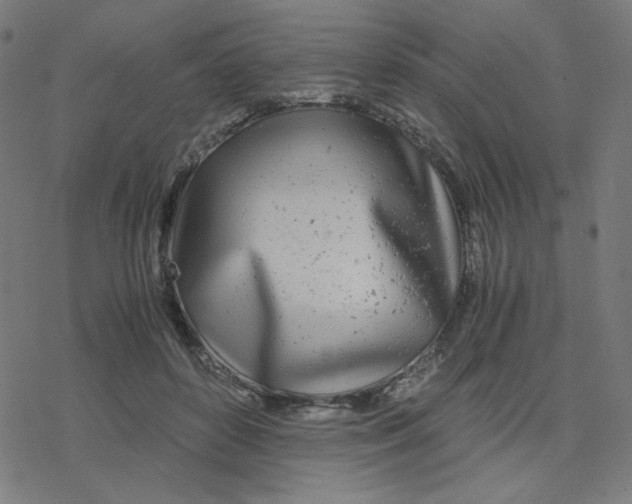 X0000078240504200612011608