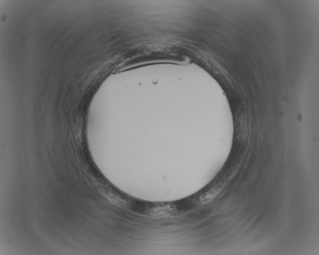 X0000078240505200612011608