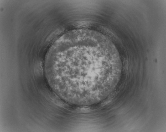 X0000078240506200612011608