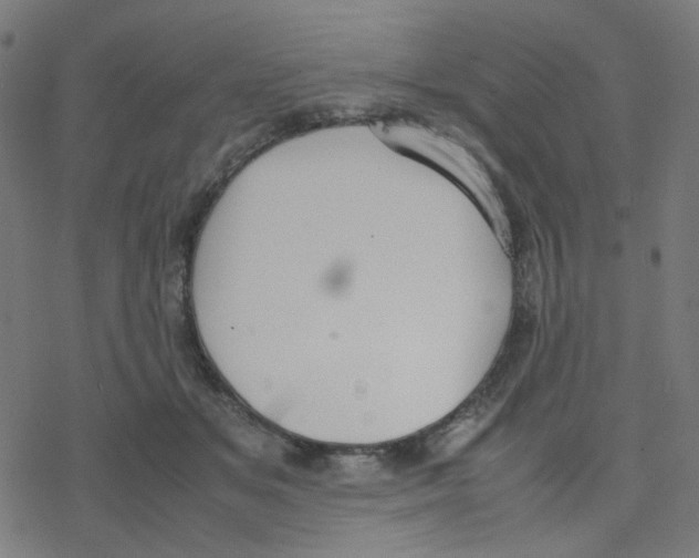 X0000078240509200612011608