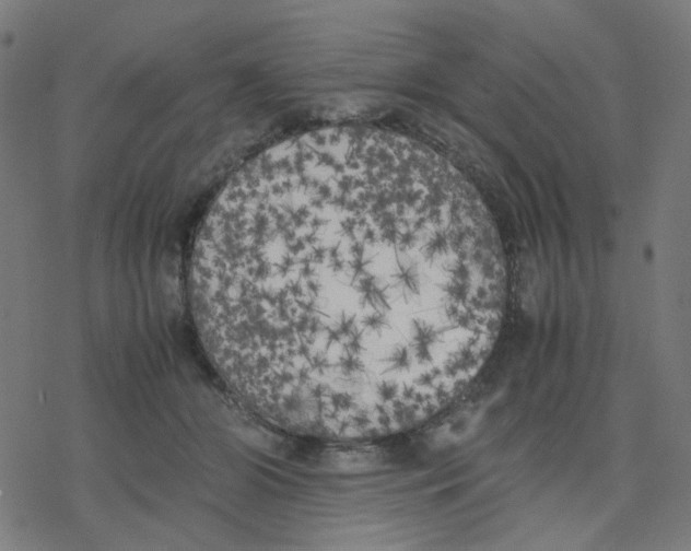 X0000078240510200612011608