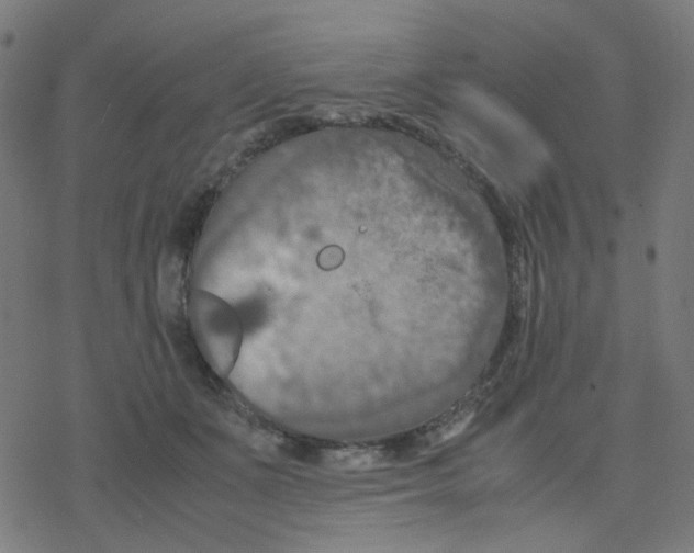 X0000078240511200612011608