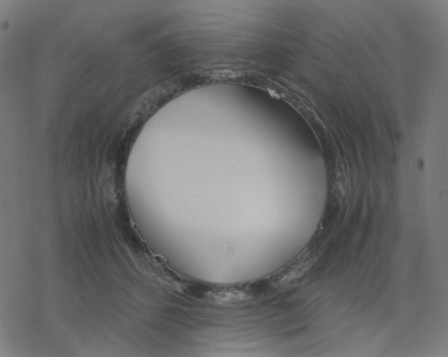 X0000078240512200612011608