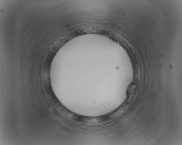 X0000078240513200612011608