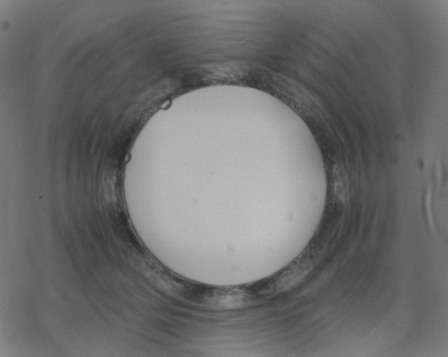 X0000078240514200612011608