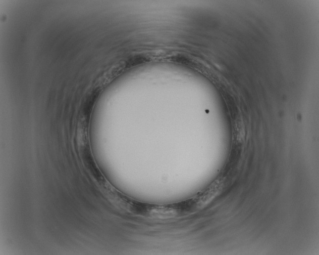 X0000078240515200612011608