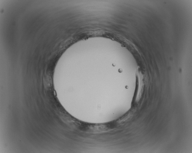 X0000078240517200612011608