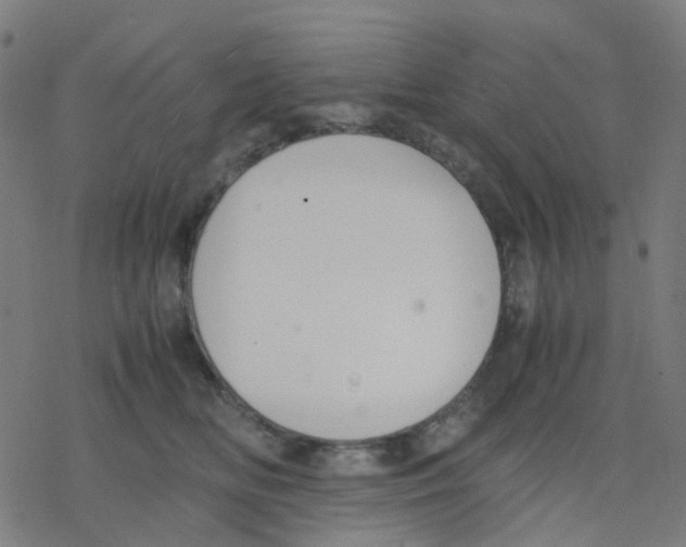 X0000078240518200612011608