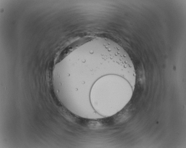 X0000078240519200612011608