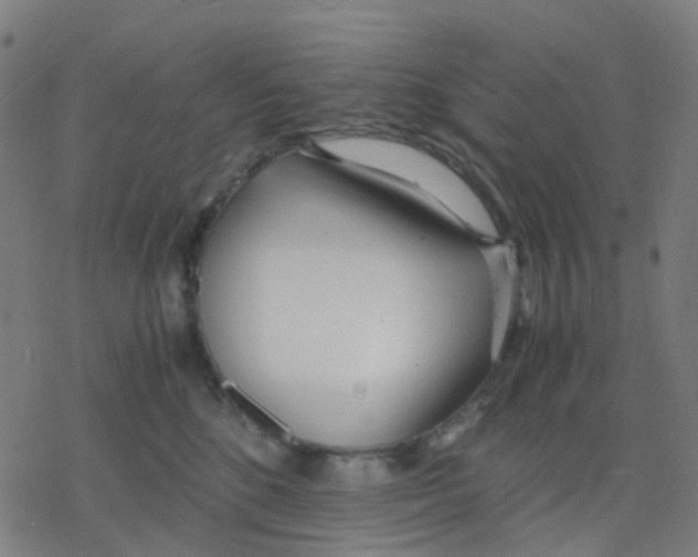 X0000078240520200612011608