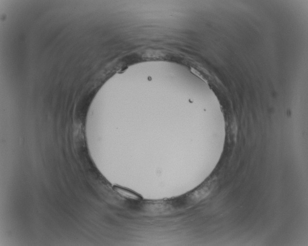 X0000078240521200612011608