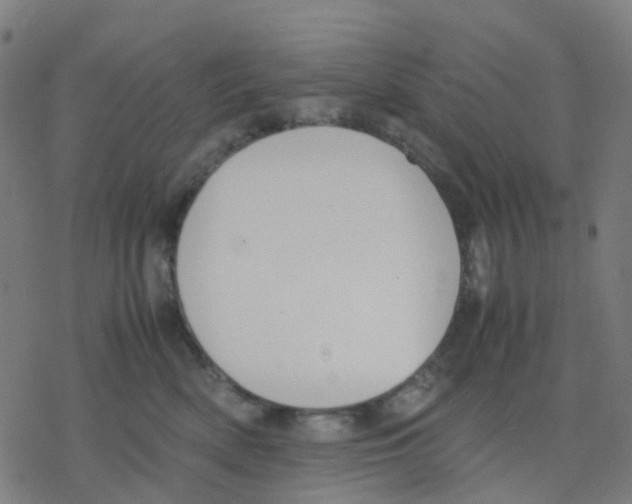 X0000078240522200612011608