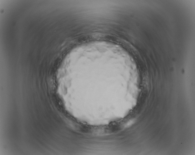 X0000078240523200612011608