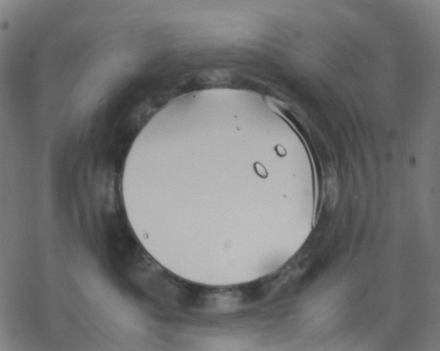 X0000078240525200612011608