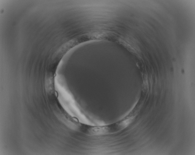 X0000078240526200612011608