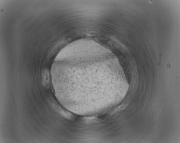 X0000078240528200612011608