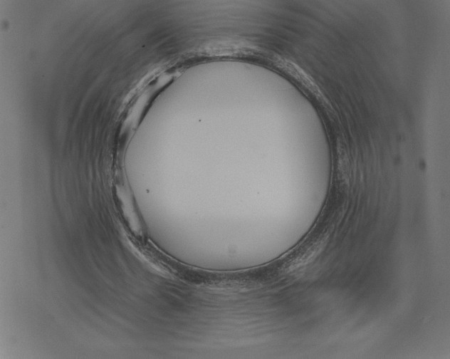 X0000078240530200612011607