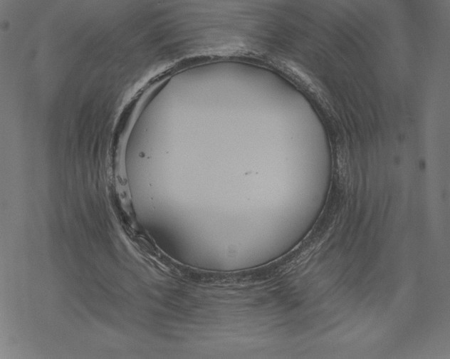 X0000078240532200612011607