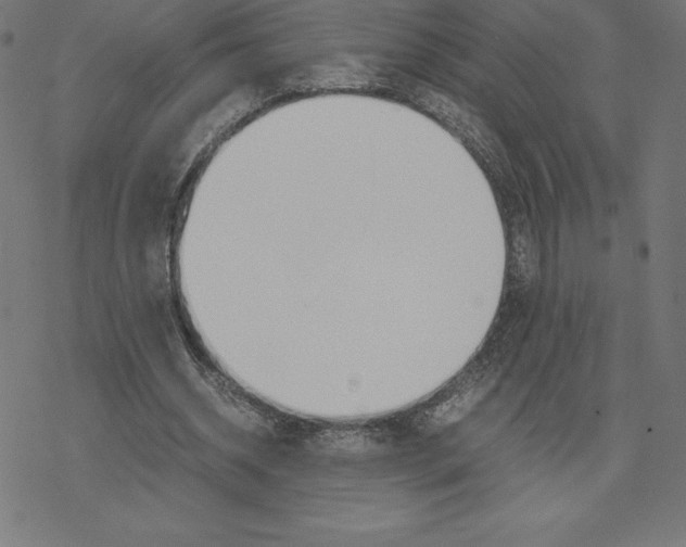 X0000078240534200612011607