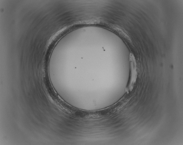 X0000078240536200612011607