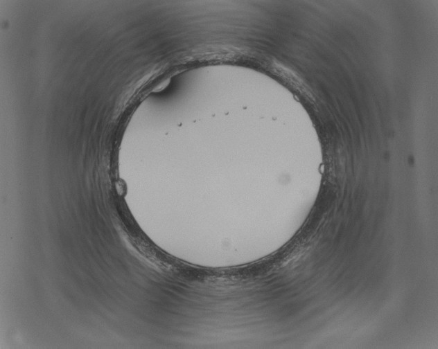 X0000078240538200612011607