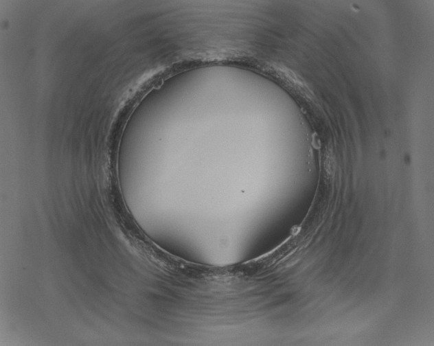 X0000078240540200612011607