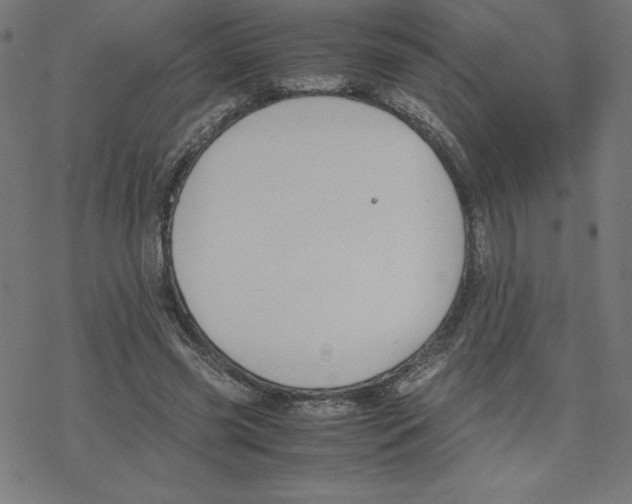 X0000078240541200612011607