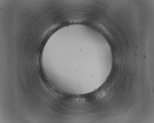 X0000078240543200612011607