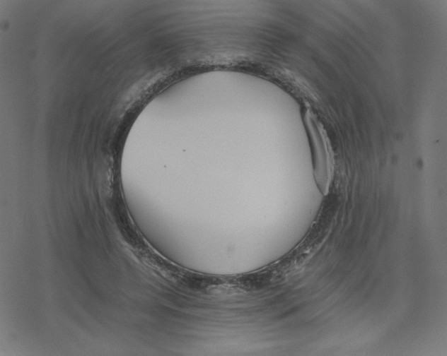 X0000078240544200612011607