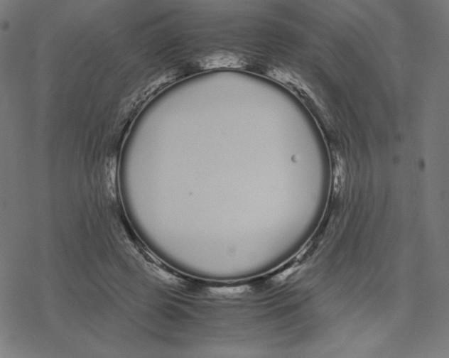 X0000078240545200612011607