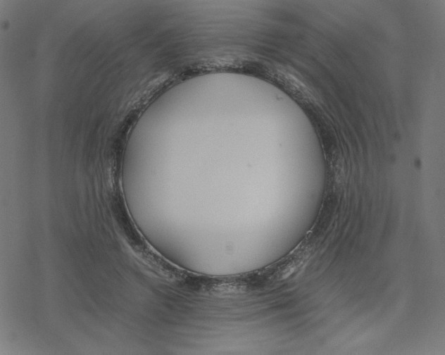 X0000078240546200612011607