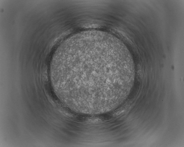 X0000078240547200612011607