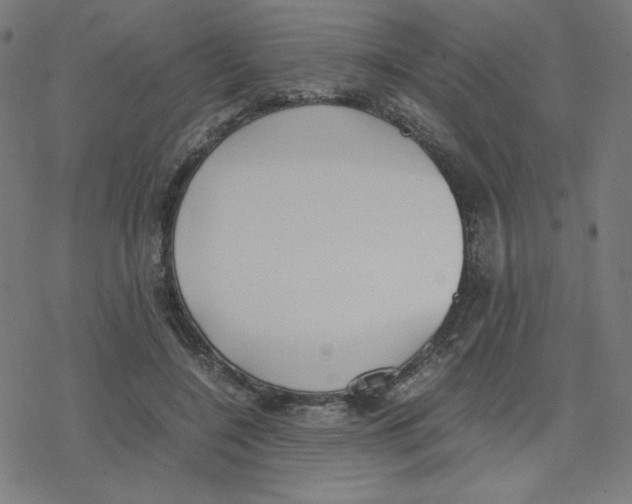 X0000078240548200612011607