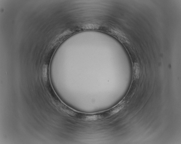 X0000078240550200612011607