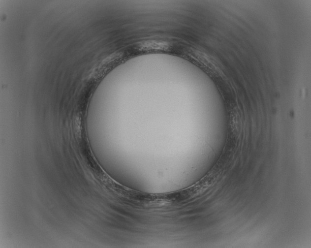 X0000078240551200612011607