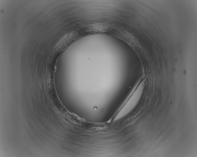 X0000078240552200612011607