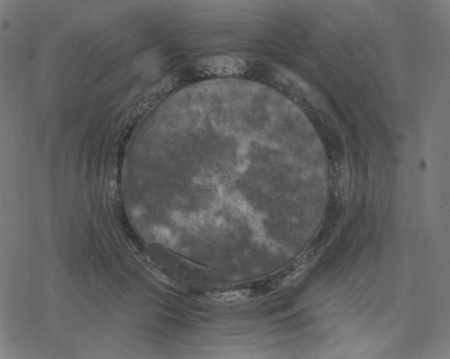 X0000078240553200612011607