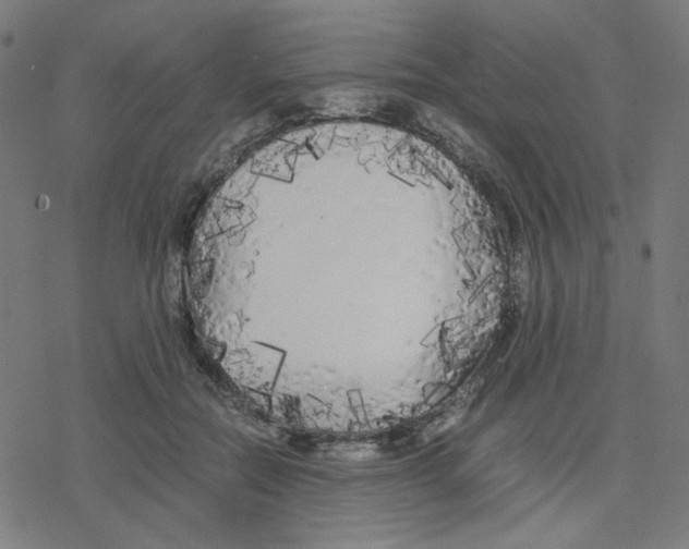 X0000078240554200612011607