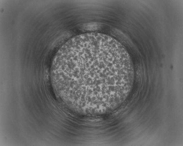 X0000078240555200612011607