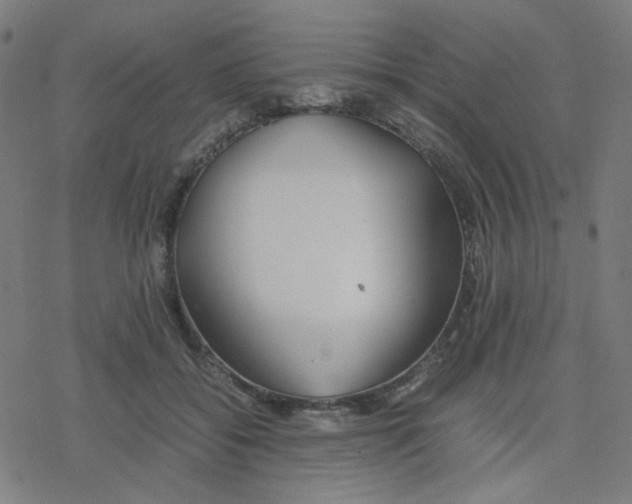 X0000078240556200612011607