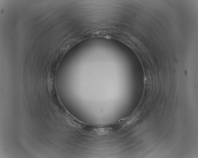 X0000078240558200612011607