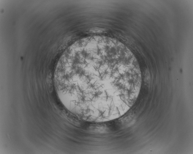 X0000078240559200612011607