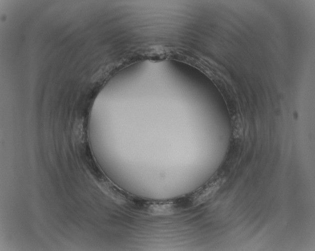 X0000078240560200612011607