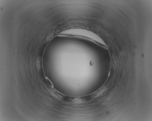 X0000078240562200612011607