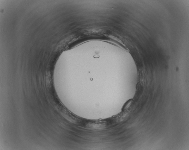 X0000078240563200612011607