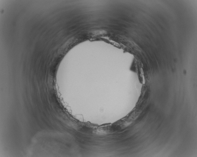 X0000078240565200612011607