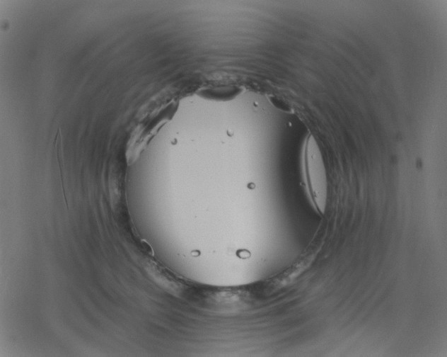 X0000078240566200612011607